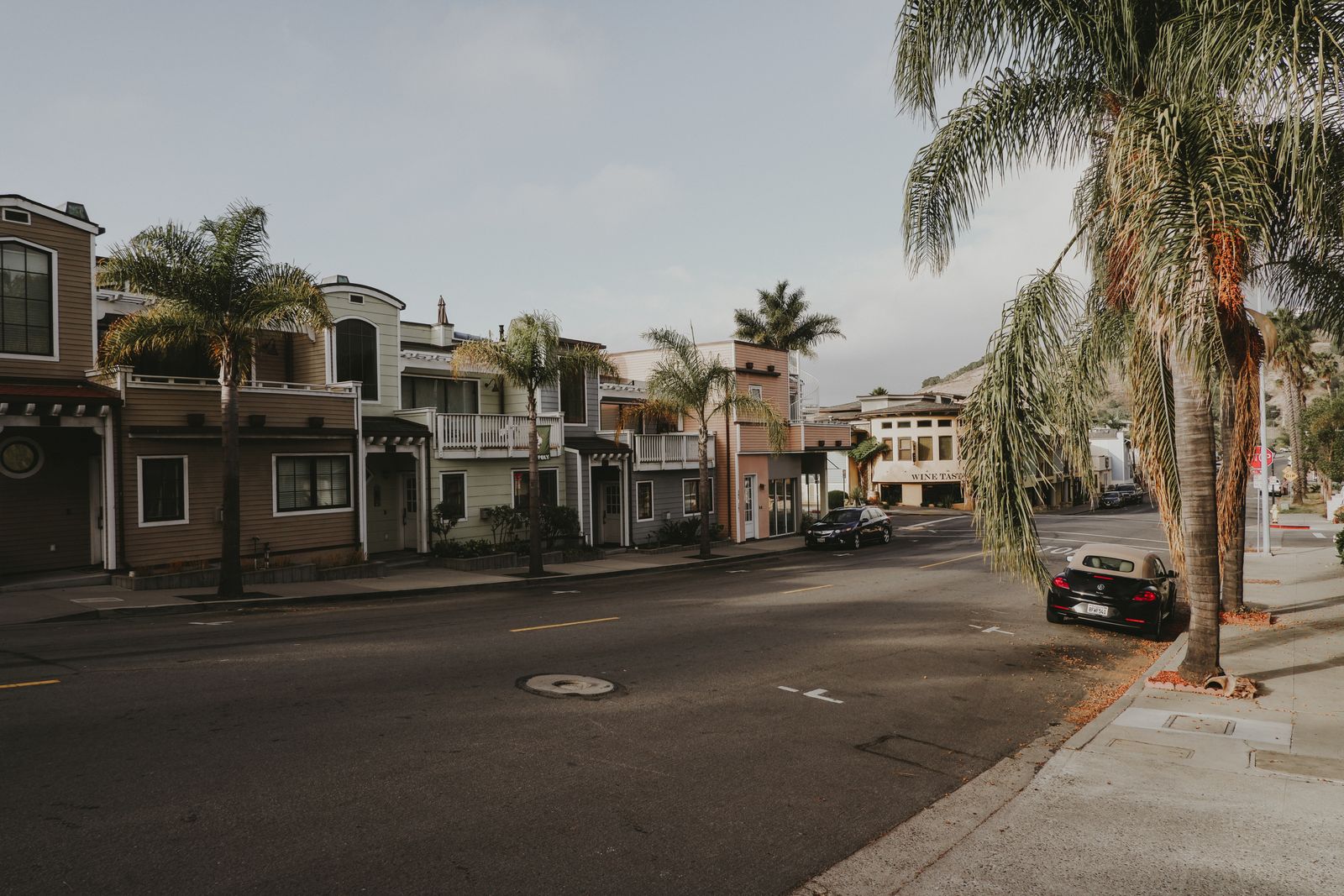 Suburban houses set back from a two-lane road near open parkland