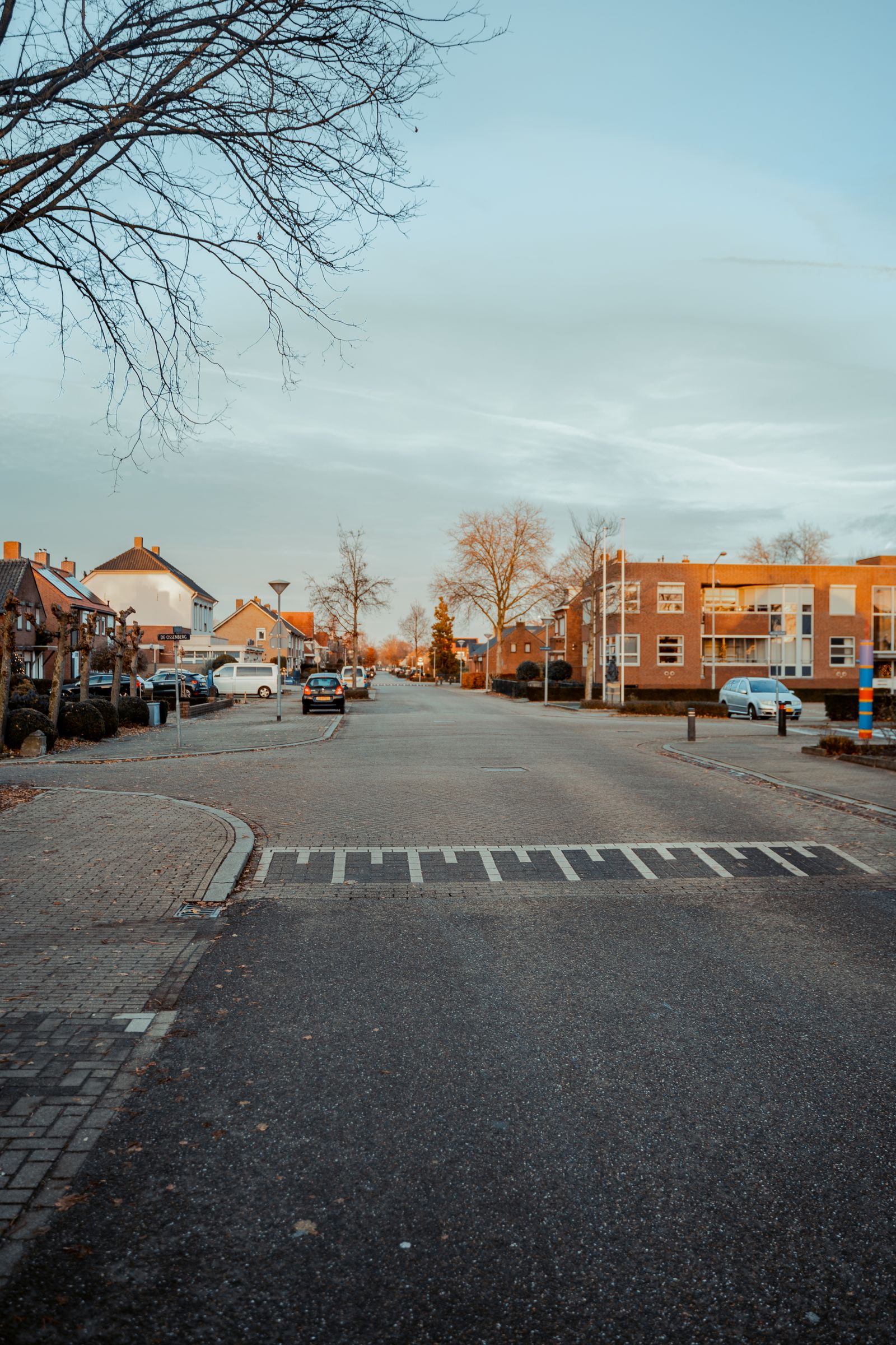 Asphalt suburban road running between houses toward open ground